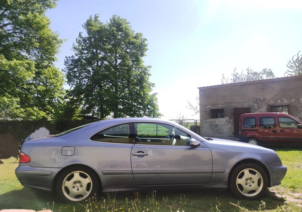 Mercedes-Benz CLK cena 11000 przebieg: 270000, rok produkcji 2001 z Wyrzysk małe 29